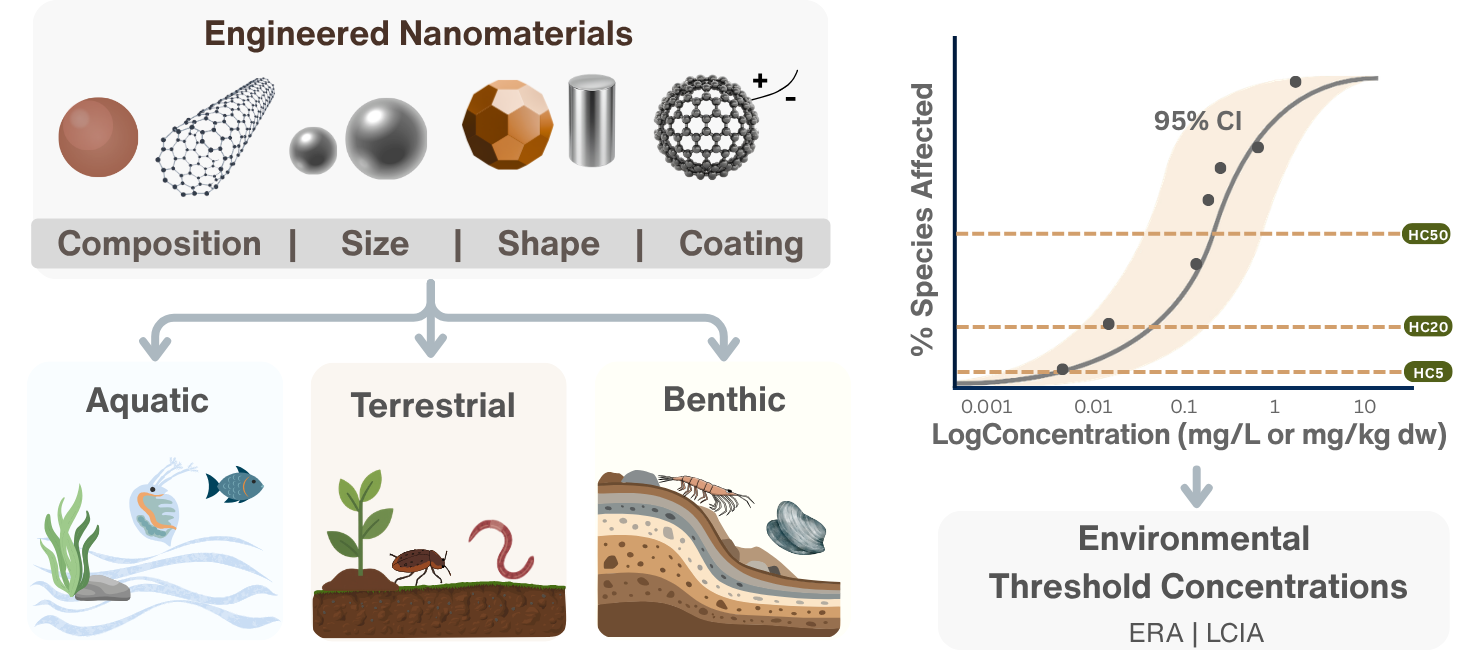 Hydro-NanoConstruct tool interface