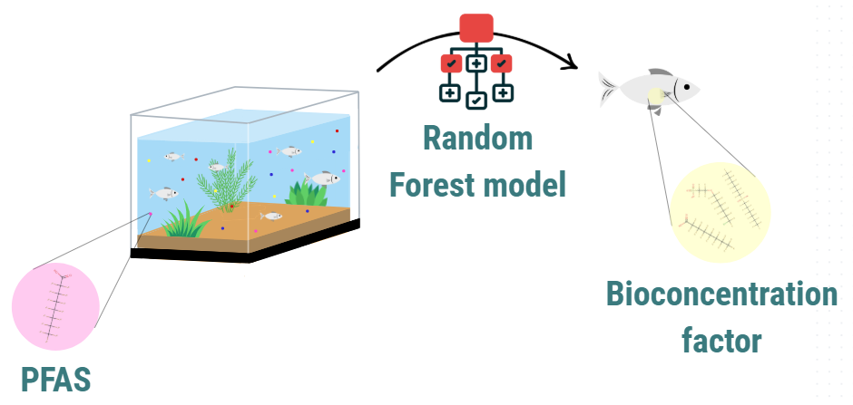 Hydro-NanoConstruct tool interface