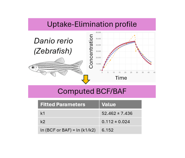 Hydro-NanoConstruct tool interface